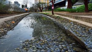 Piletas de tratamiento y decantación de efluentes industriales en Córdoba: obra civil y movimiento de suelos